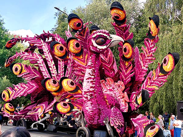 Blumenkorso Lichtenvoorde