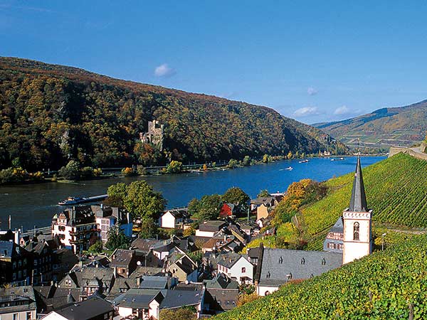 Eltviller Rosenfest