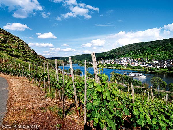 Wein, Genuss & Moselzauber